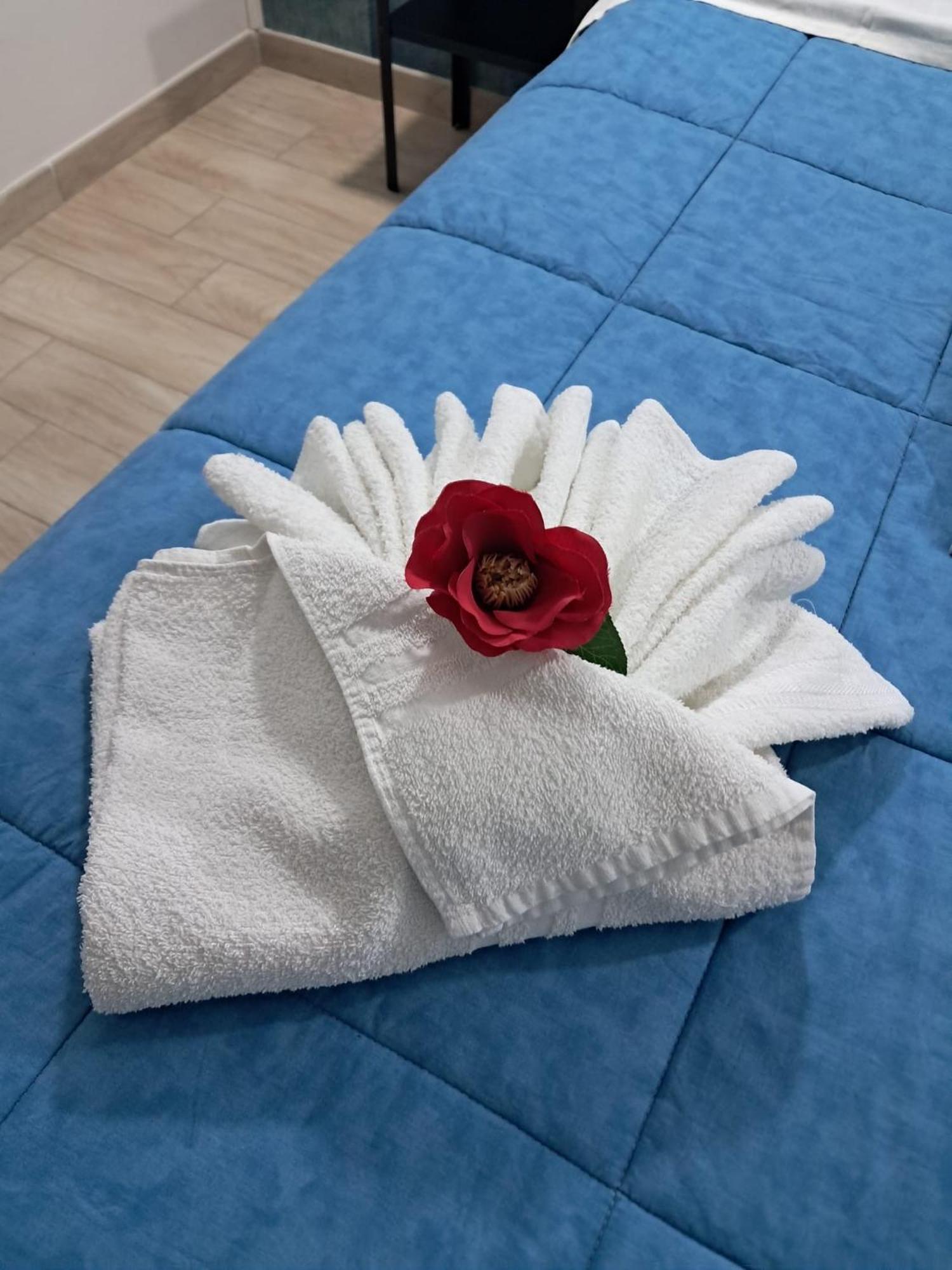 Hébergement de vacances La Petite Maison Naples